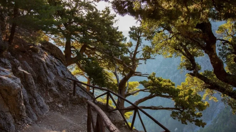 Samaria Gorge Location Rolling Car Rentals Chania Crete webp